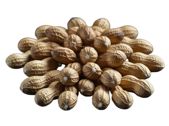 Peanut Flavor